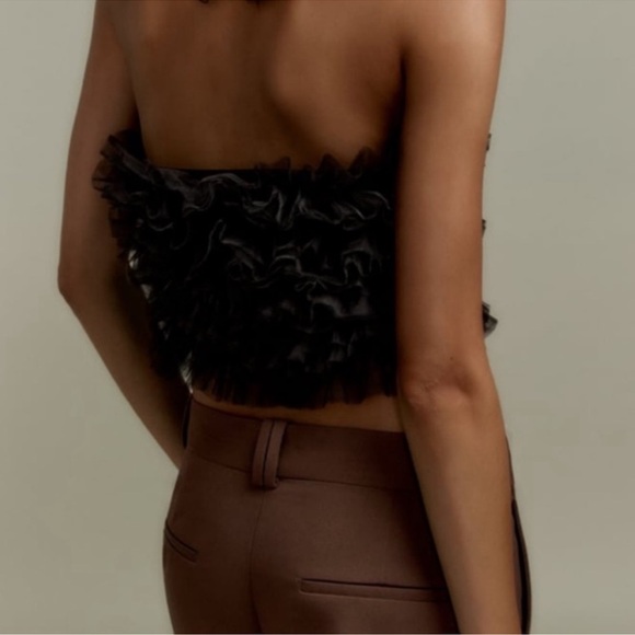 NEW! Zara Tulle Sleeveless Top - Picture 3 of 11